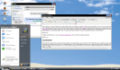 Web operating systems