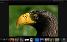 PicLens: new dimension for your browsing