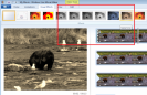 Export Formats in Windows Live Movie Maker - What to Choose & How to Do It