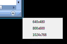 Sizer and the resizing menu Sizer and the resizing menu
