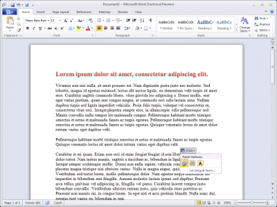 Microsoft Word 2010 Microsoft Word 2010