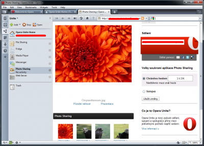 Opera 10.10 Opera 10.10