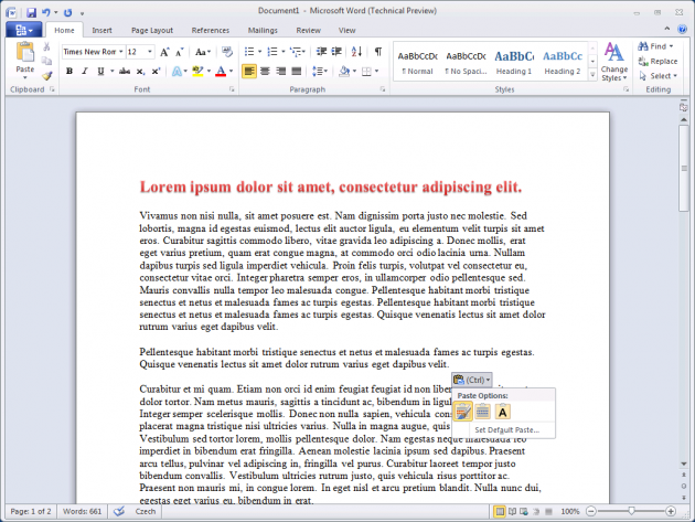 Microsoft Word 2010