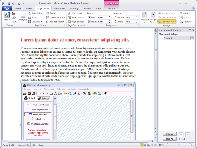 Microsoft Word 2010