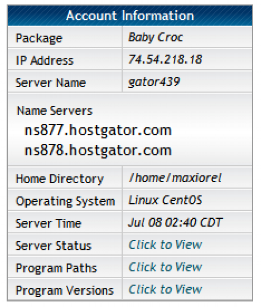 Your hosting IP address information